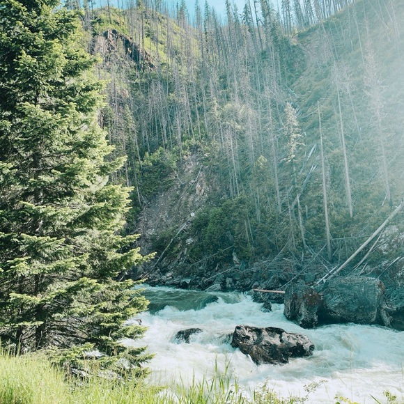 Meet your Posher, April - Picture 4 of 5